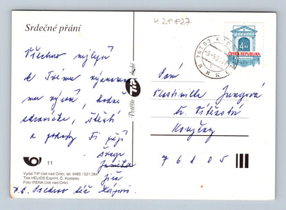 Pohlednice květiny gerbery 1993 (M28827)