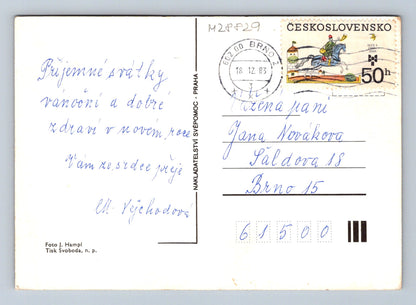 Pohlednice květiny zátiší 1983 (M28829)