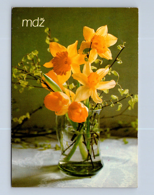Pohlednice Kytice narcisů k MDŽ (M28832)