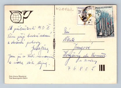 Pohlednice Kytice narcisů k MDŽ (M28832)