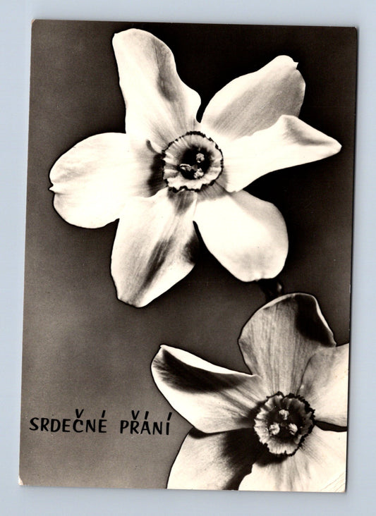 Pohlednice Květiny Srdečné přání 1945 (M28845)