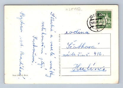 Pohlednice zátiší s růží 1951 (M28852)