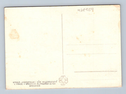 Pohlednice Růže Vincentinum Praha (M28859)