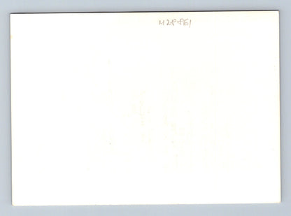 Stará fotografie květiny a modlitba Tomas More (M28861)