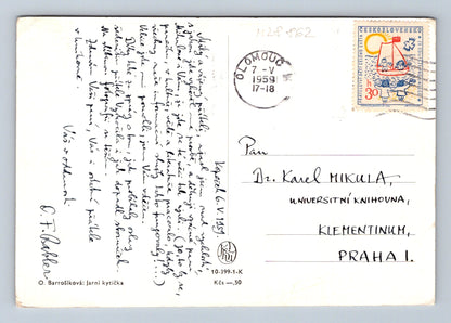 Pohlednice Jarní kytička květin 1959 (M28862)