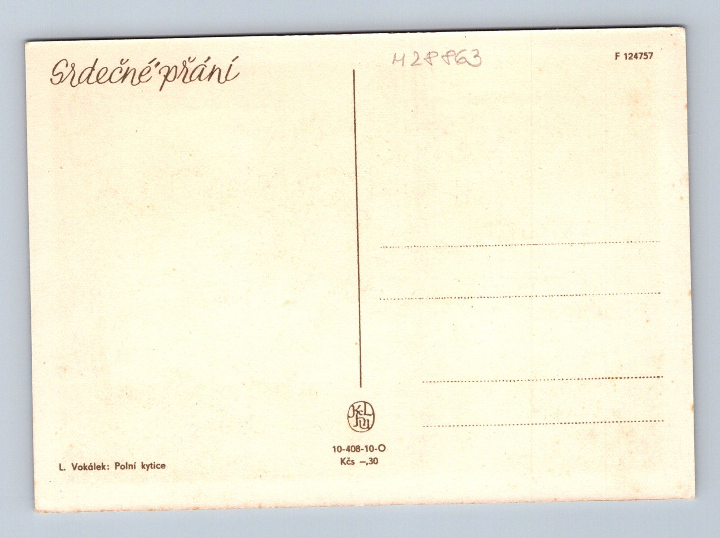 Pohlednice Polní kytice vlčí máky a chrpy (M28863)