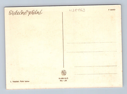 Pohlednice Polní kytice vlčí máky a chrpy (M28863)