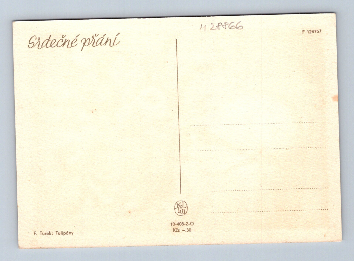 Pohlednice Květiny tulipány (M28866)
