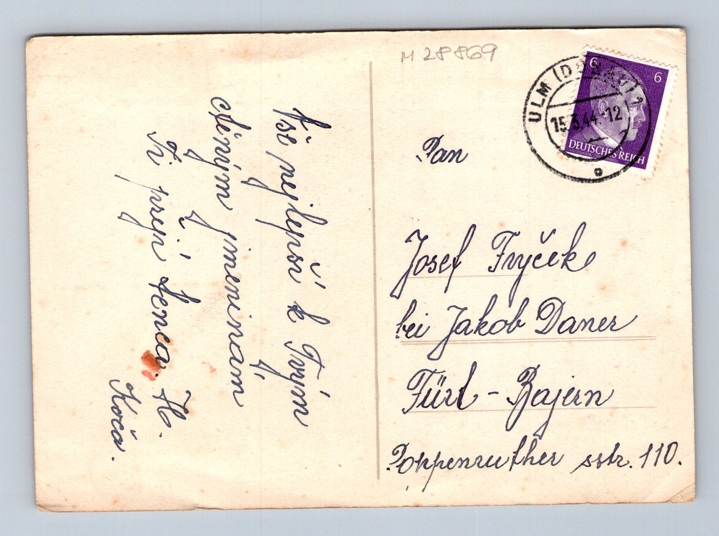 Pohlednice Německo květy chryzantémy 1912 (M28869)