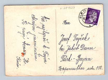 Pohlednice Německo květy chryzantémy 1912 (M28869)