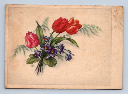 Pohlednice květiny tulipány (M28882)