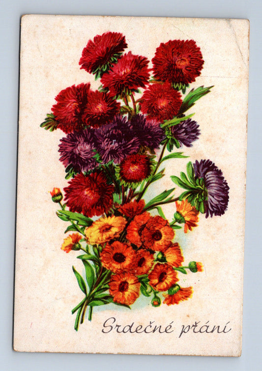 Pohlednice Kytice aster Srdečné přání (M28883)