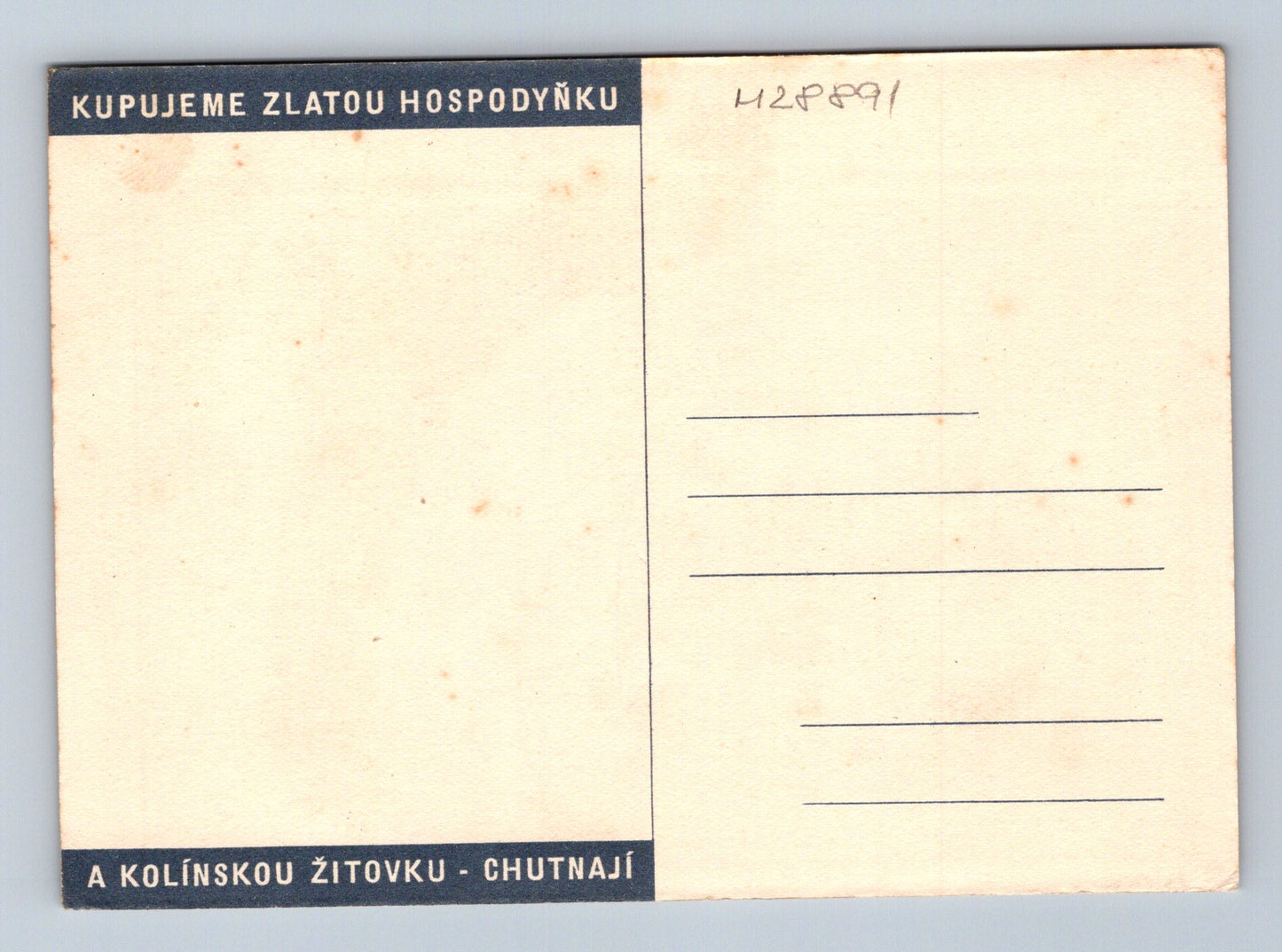 Pohlednice děti na koníkovi Kolínská Žitovka (M28891)