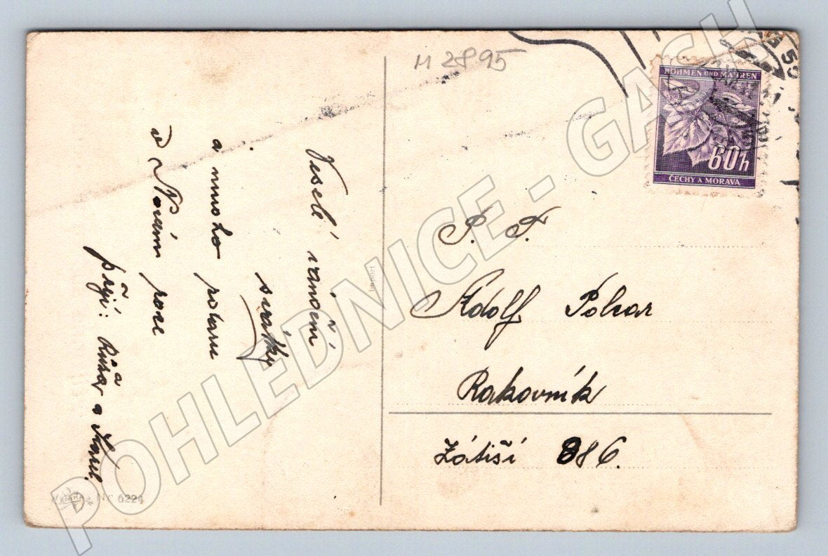 Postcard Winter and Deer Happy Holidays (M2895)