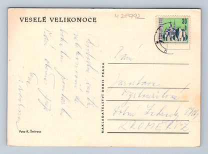 Pohlednice Velikonoce kraslice stuhy (M28992)