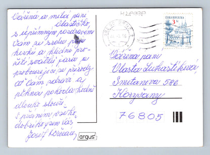 Pohlednice Velikonoce kuřátka a zajíc 1996 (M28998)