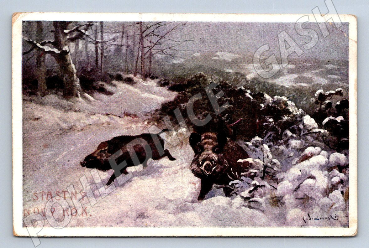 Postcard J Švabinský Wild boars in the snow 1914 (M2900)