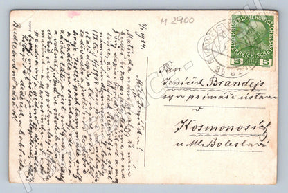 Postcard J Švabinský Wild boars in the snow 1914 (M2900)