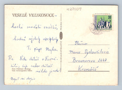 Pohlednice Velikonoce kočičky a kraslice (M29009)