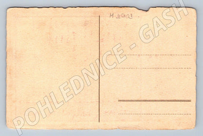 Postcard Našlibrní rouba ethnographic motif (M2903)