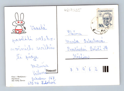 Pohlednice Velikonoční vajíčka a píšťalka 1970s (M29035)