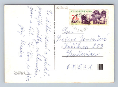 Pohlednice velikonoční vejce 1981 (M29061)