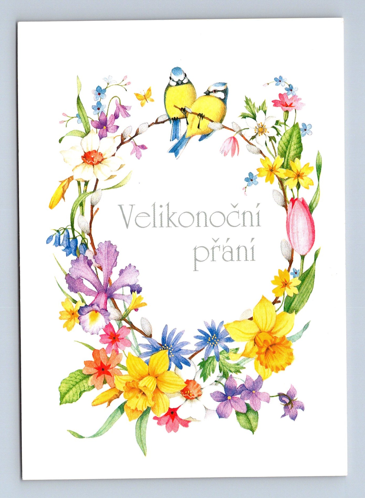 Pohlednice Velikonoční přání květiny a ptáčci (M29067)