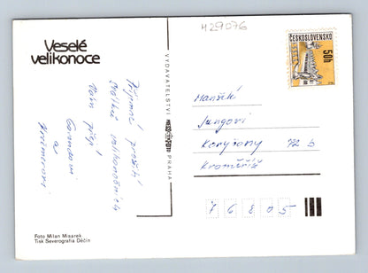 Pohlednice Velikonoce motiv vajíčka a narcis (M29076)