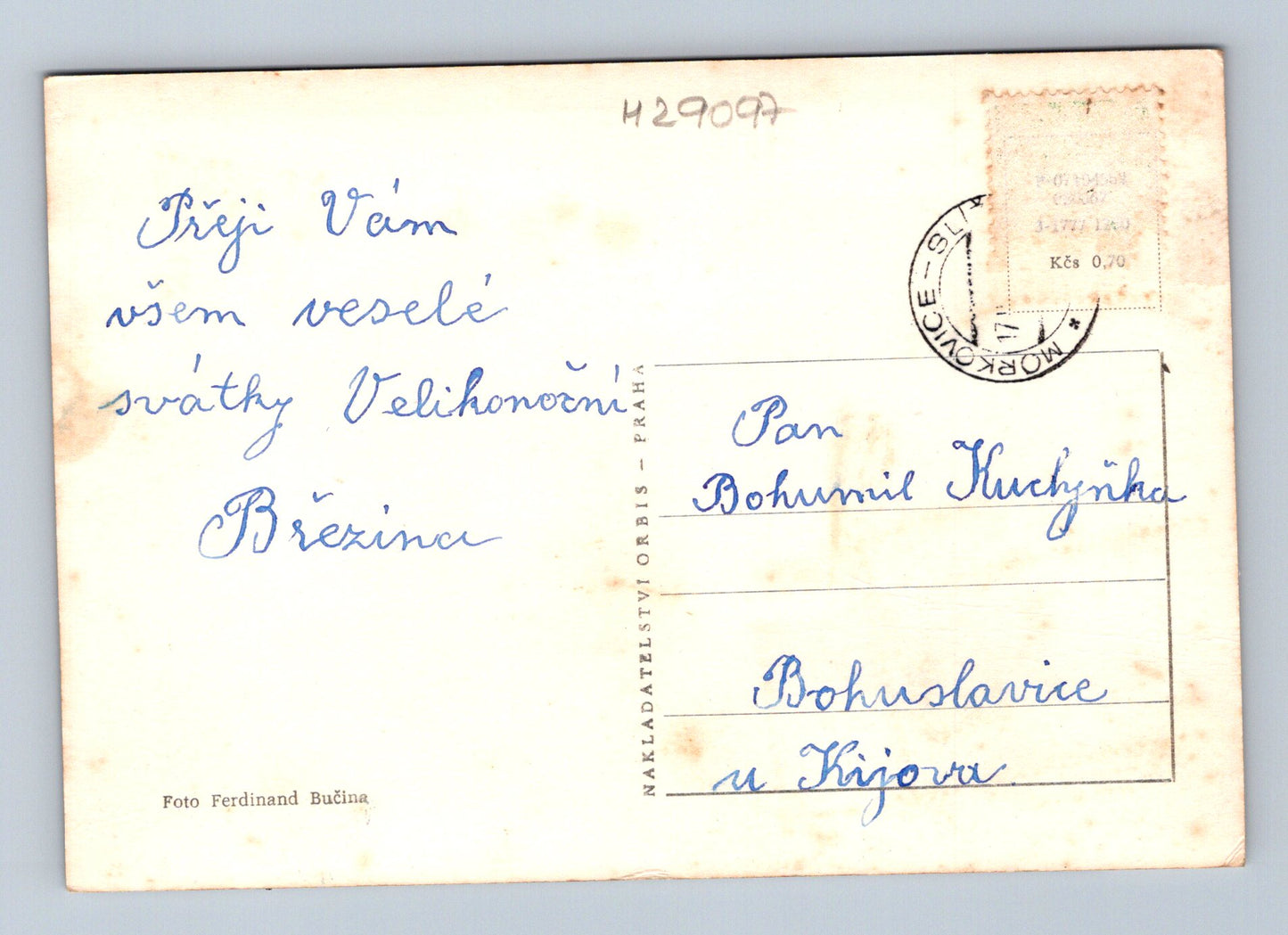 Pohlednice Velikonoce květiny (M29097)