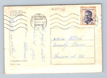 Pohlednice Slovensko ovce hory Velikonoce 1959 (M29103)