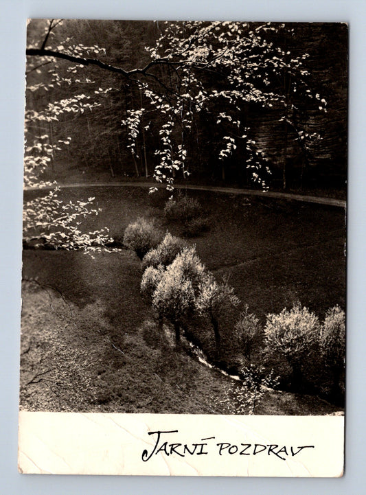 Pohlednice Jarní pozdrav příroda 1947 (M29105)