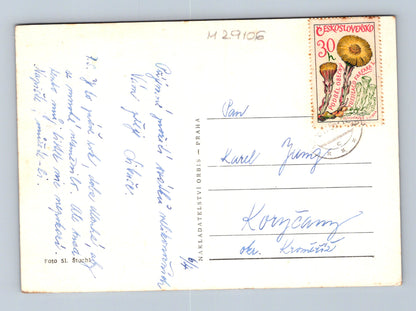 Pohlednice Československo velikonoční kachňata 1950s (M29106)