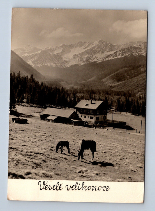 Pohlednice Velikonoční hory s budovou a kravami 1947 (M29107)