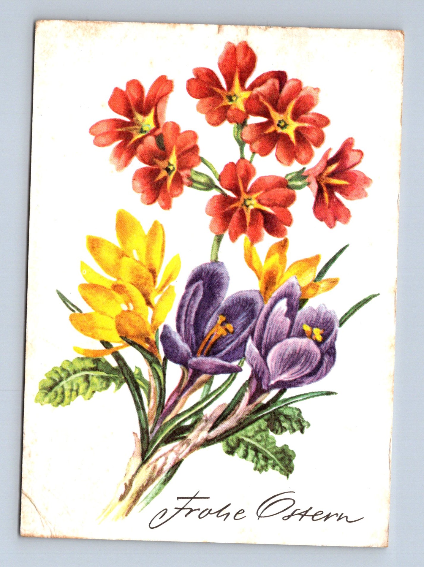 Pohlednice Německo Frohe Ostern 1975 (M29115)