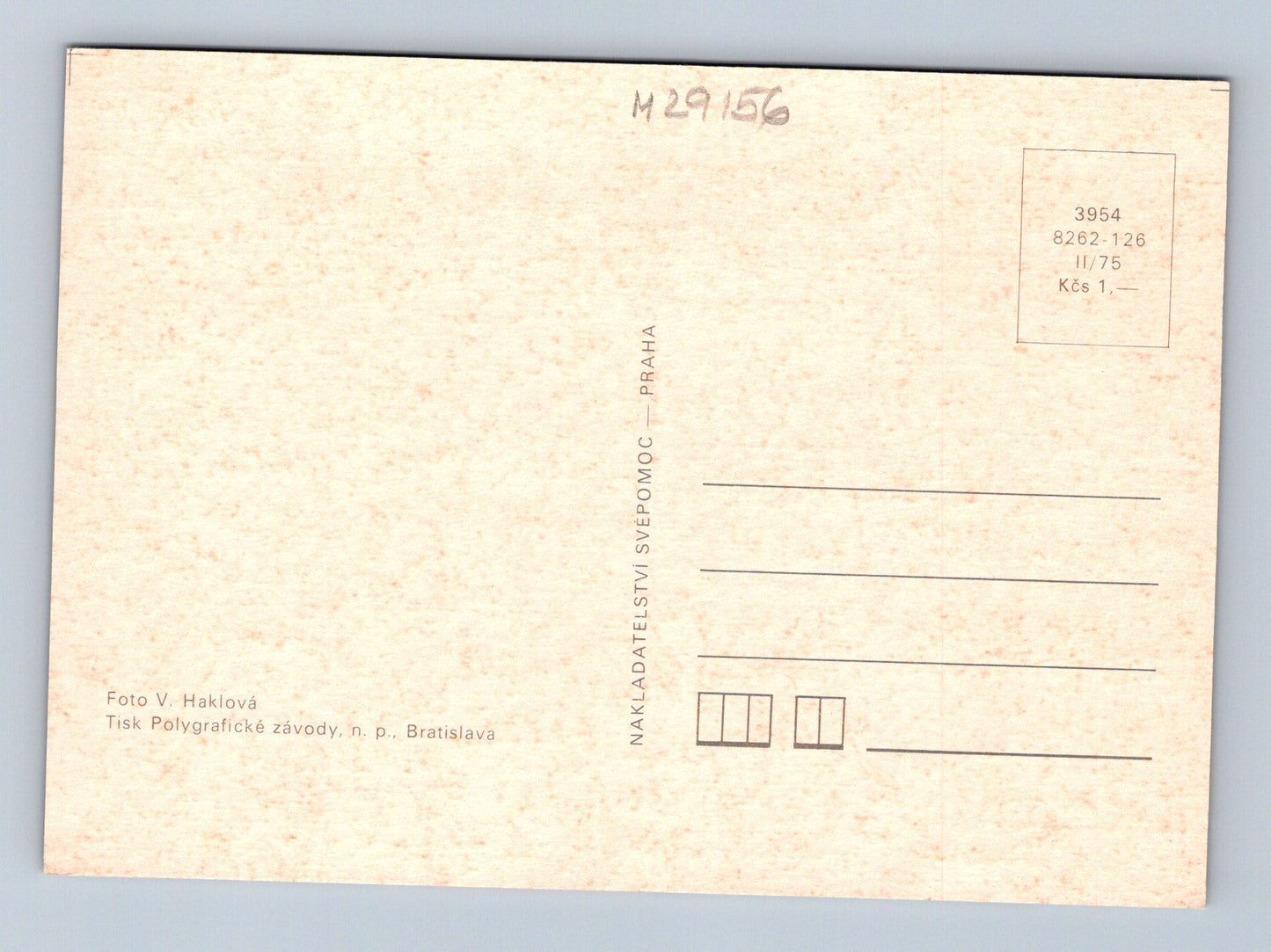 Pohlednice Koťátko v košíku s růžemi 1975 (M29156)