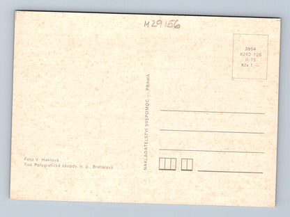 Pohlednice Koťátko v košíku s růžemi 1975 (M29156)