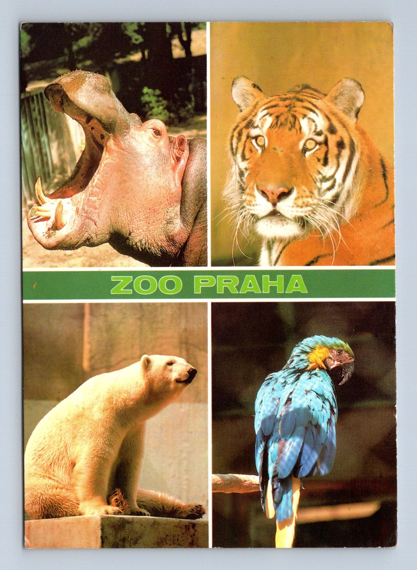 Pohlednice Praha ZOO zvířata 1997 (M29164)