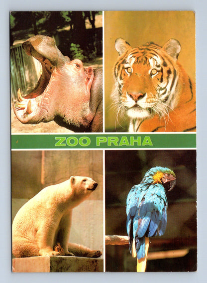 Pohlednice Praha ZOO zvířata 1997 (M29164)