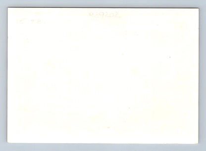 Stará fotografie Darney památník E. Beneše 1918 (M29202)