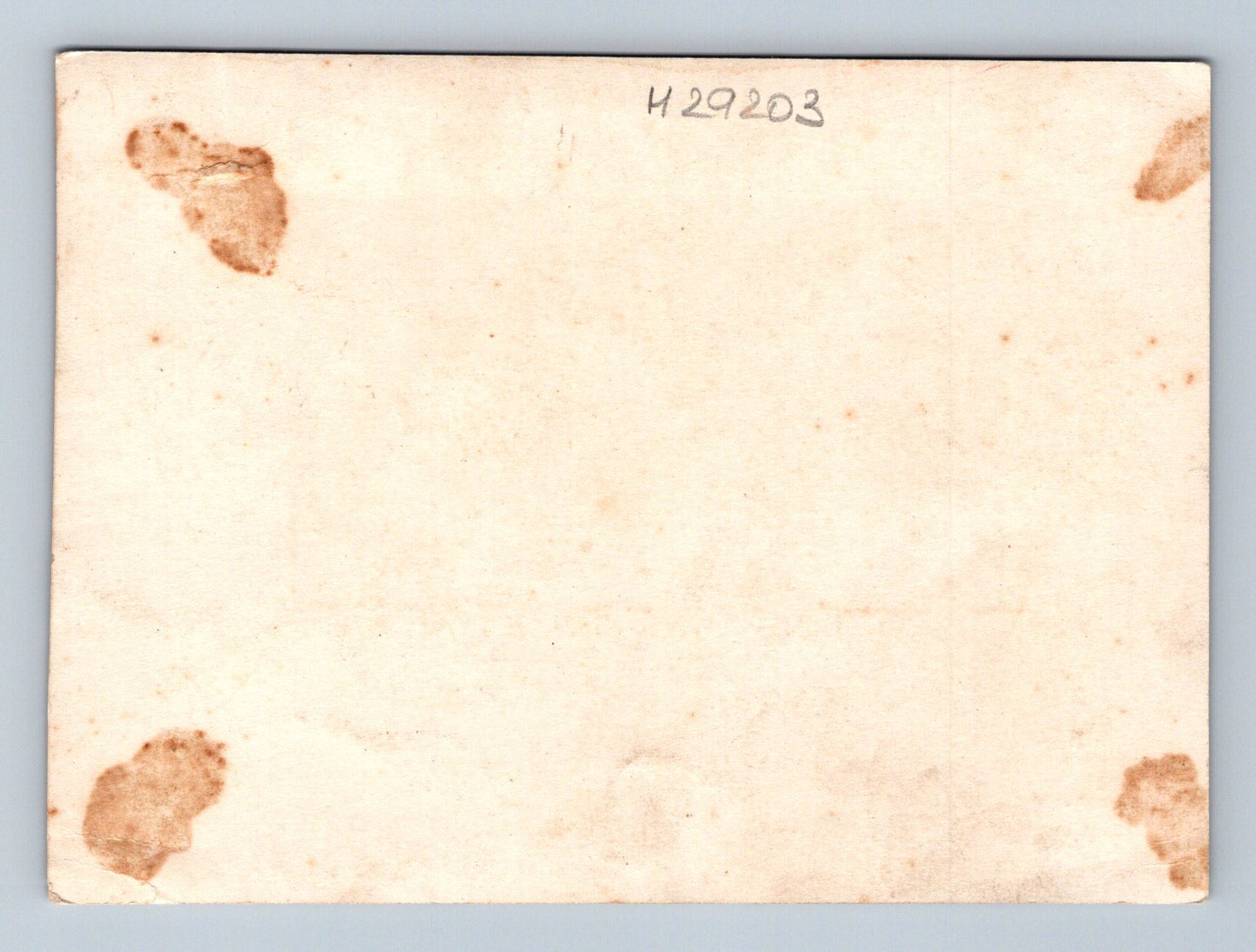 Stará fotografie skupina vojáků v uniformách (M29203)