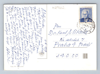 Pohlednice louka s břízami a pampeliškami 1979 (M29302)