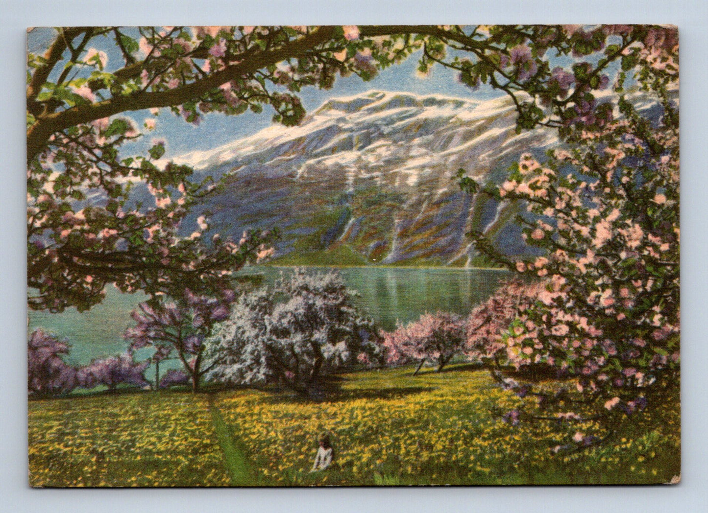 Pohlednice Norsko Hardanger krajina v květu 1950 (M29325)