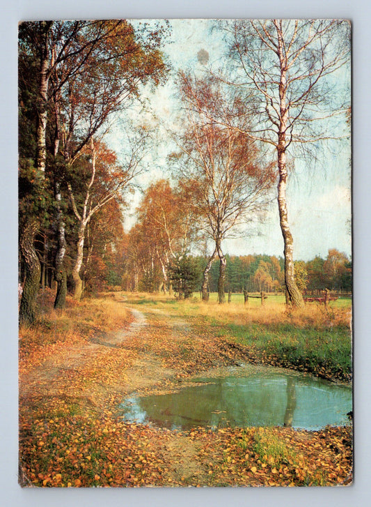 Pohlednice Německo Heideweg podzimní krajina 1971 (M29329)