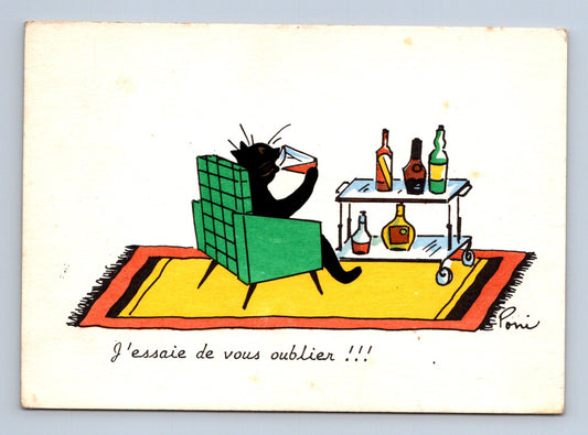 Pohlednice Francie kočka s pitím humor (M29395)