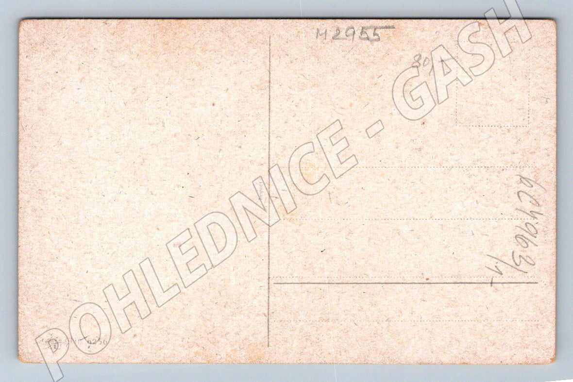 Postcard birds and a birdhouse winter painting (M2955)