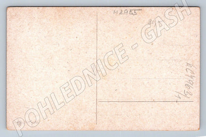 Postcard birds and a birdhouse winter painting (M2955)