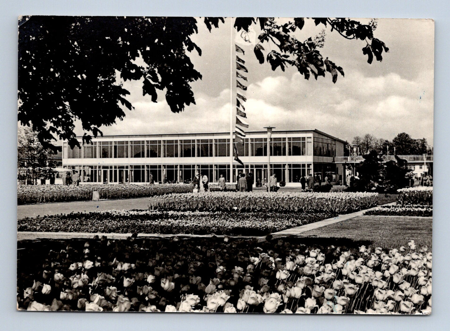 Pohlednice Německo Erfurt Ausstellungsgelände 1965 (M29581)