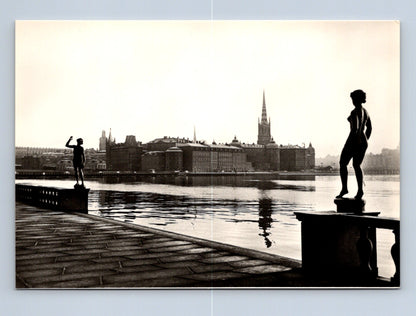 Pohlednice Švédsko Stockholm pohled na město sochy 1965 (M29623)