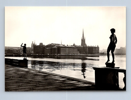 Pohlednice Švédsko Stockholm pohled na město sochy 1965 (M29623)
