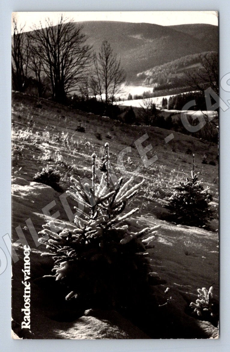 Postcard Pernštejn Merry Christmas Czechoslovakia (M2964)